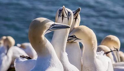 史密斯45+9+9王浩然25分 北京不敌深圳近6战4负